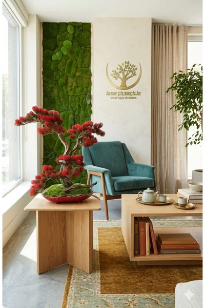 İremÇiçekçilik Kırmızı Kayık tabak saksıda Kırmızı Bonsai