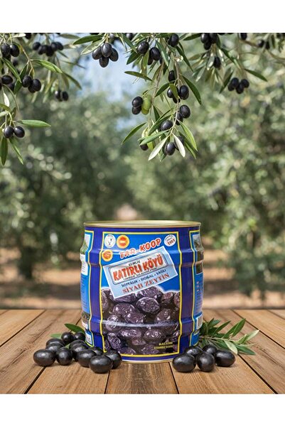Gemlik Katırlı Köyü Katırlı köyü zeytin 2 kg
