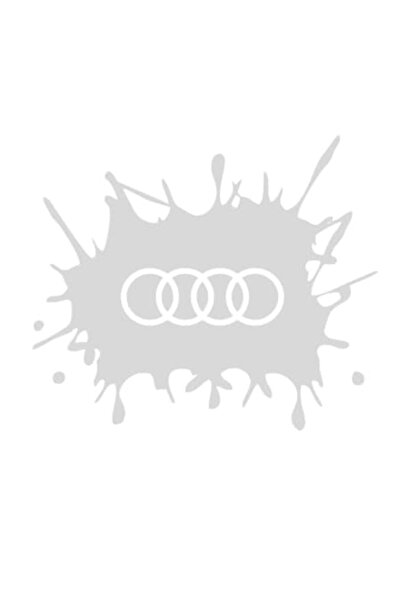 Oracal Autocolant logo Audi, argintiu, 30cm