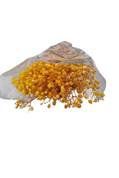 Şoklanmış kurutulmuş cipso çiçeği turuncu renkli (60 gr)