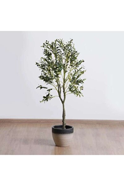 PAN HOME Olive Tree With Pot H150cm -green