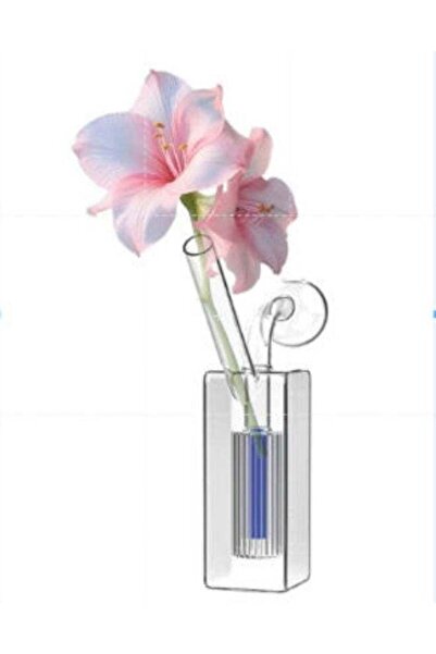 Generic BaytEasy Home Decorative beautiful Glass Vase