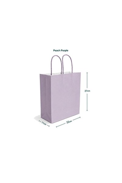 sunpack Paper Gift Bags – Peach Purple 22×11×27 cm – Pack of 12