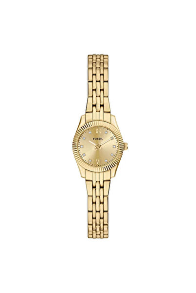 Fossil Women's Wristwatch Fes5474