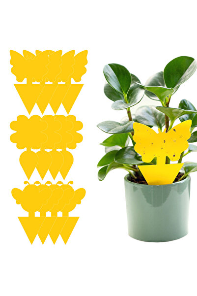 Ayawaska Set 12 capcane adezive pentru insecte si daunatori plante ghiveci sa...