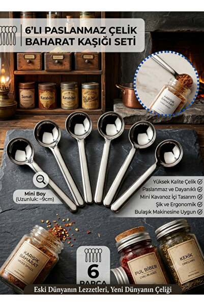 HZL HOME 6'lı Paslanmaz Çelik Mini Baharat Kaşığı Seti (9 cm)