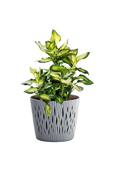 EDANTI Ghiveci de casă rotund, nisipos, 12,8 cm + inserție, gri piatră