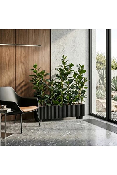 Al Hadaya Mall Tree Box with Wooden Insert with Elegant Design-Black-60X20X77Cm