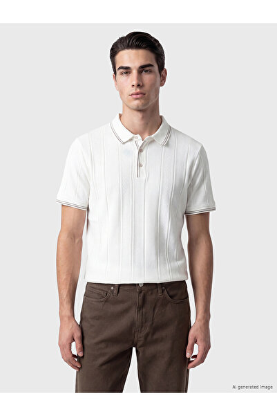 LC Waikiki Vizyon New Season Polo Neck Striped Men's T-Shirt