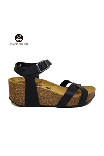 PLAKTON 875087 Apure Negro