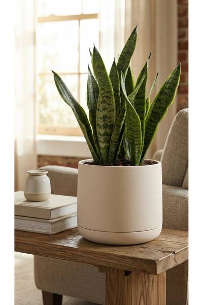 Bliss Atlas Saksı 4 Litre Dekoratif Çiçek Saksısı 27 cm Modern Büyük Saksı İç...