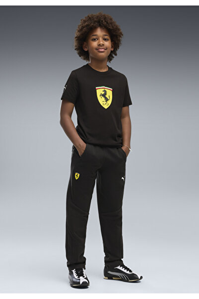 Puma Tréninkové kalhoty Ferrari