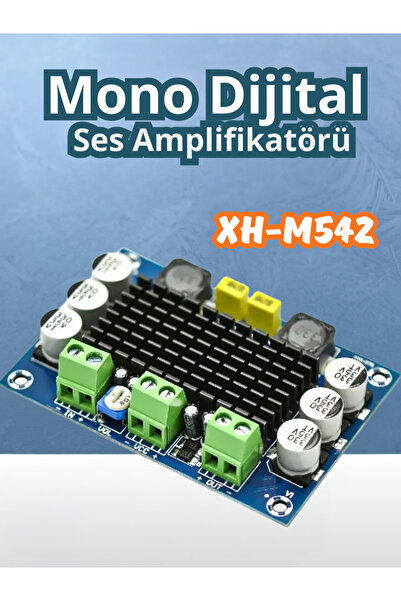 RoboPazar XH-M542 TPA3116D2 1×100W Mono Dijital Ses Amplifikatörü
