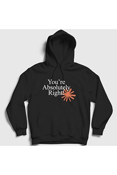 Presmono Unisex Black You'Re Absolutely Right Claude Code Hooded Sweatshirt 6...