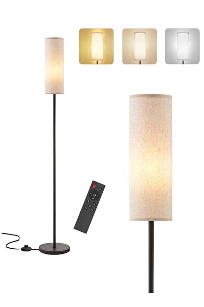 Homestar Modern Floor Lamp with Warm Light Foot Switch ,for Bed Room Living R...