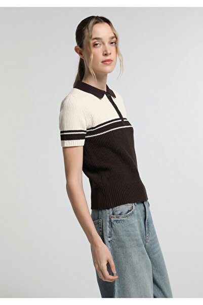 Colin's Slim Fit Polo Collar Striped Women's Brown Short Sleeve Sweater