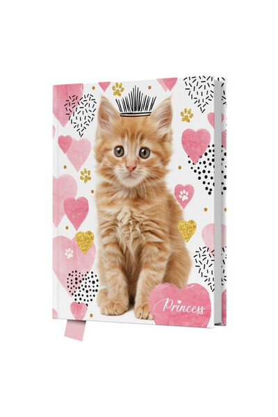 OEM Jurnal cu lacat Princess Cat 80 de pagini 14x18 cm GDD