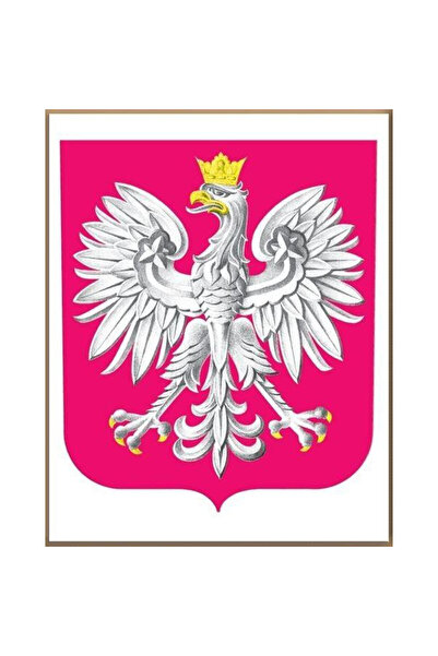 OEM Stema Republicii Polone în ramă Adamigoformat 376×323 mm, folie