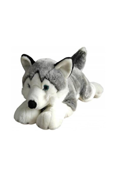 OEM Husky 62cm - Planșă mare ilustrată de la Editura Dubi