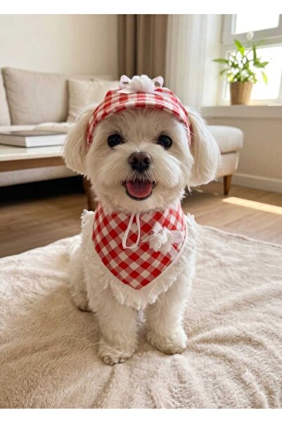 atelyu Cat Dog Outfit Red Checkered Bandana Hat Set