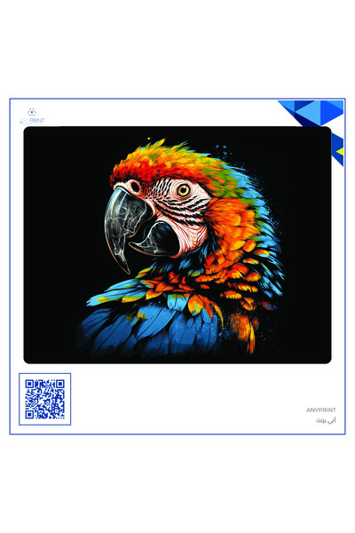 ANYPRINT Set of 2 Iron-On Textile Dtf Printing T-Shirt Printing