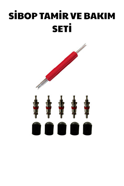 JuneThree Oto Lastik Sibop Tamir ve Bakım Seti Çift Taraflı Sibop Tornavidası...