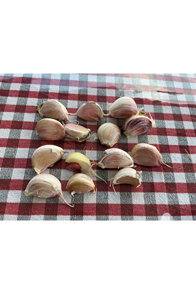 OZCOL GROUP AYIKLANMIŞ SARIMSAK 250 GR