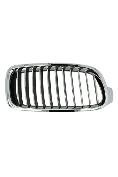RapidAuto Grila radiator Bmw Seria 3 (F30/F31), 01.2012-12.2019 Model LUXURY,...