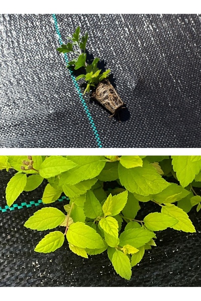 NO BRAND AGROTKANINA 70G Fibră Agricolă Neagră, Covor 3,2x10m