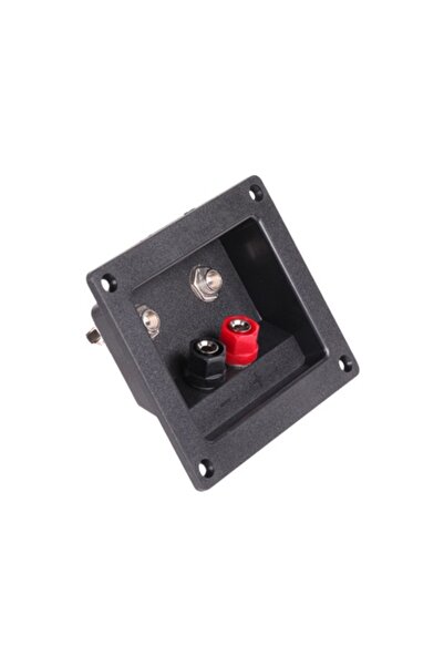 Sekekamaccs CONECTOR DIFUZOR 2 BANANA + 2 JACK
