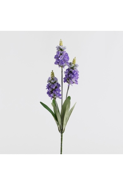 home&you Floare Prestis