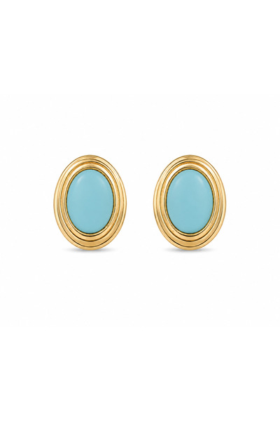 Venus Design Steel Raila Earrings
