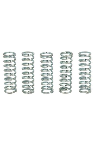 TRW Set Arcuri Ambreiaj (ranforsat) Kawasaki Klv Zzr Suzuki Dl 600/1000 1993-...
