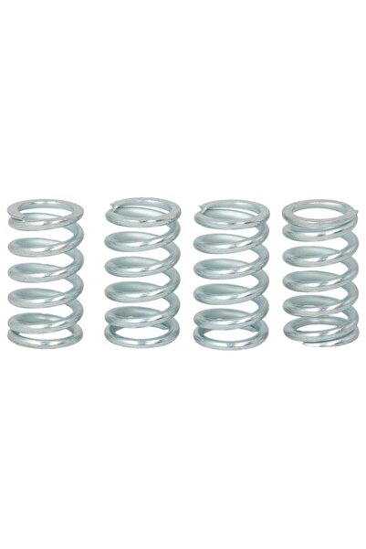 TRW Set Arcuri Ambreiaj (ranforsat) Honda Cbx Suzuki Dr Gr Gsx Gsx-r Ls Vs 55...