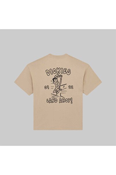 Dickies Ντεκαρτουβίλ Τ-Σερτ S