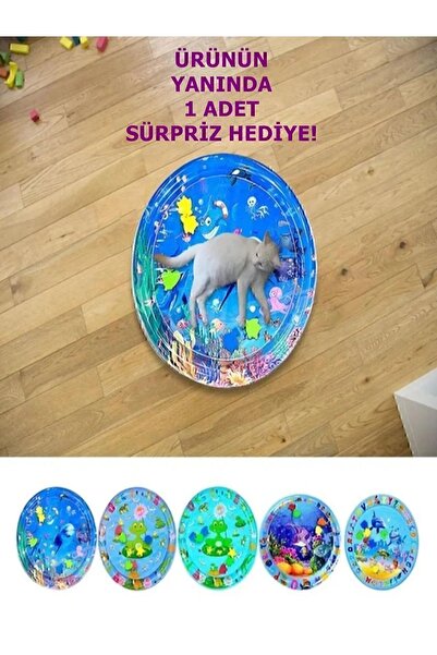 Byanes Kedi Ve Köpekler İçin Su Havuzu Su Matı Su Havuz Oyuncağı