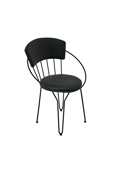 handanca Akın Lüx Modern Metal Sandalye - Siyah