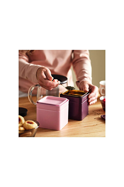 IKEA Akdeni̇z Blomning Food Storage Box, Brown Red-Pink, 10X10X10 Cm, 2 Units