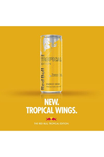 Red Bull ريدبول تروبيكال