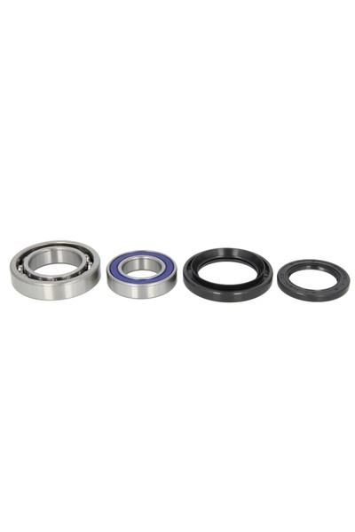 All-Balls Kit Rulment Roata Spate (cu Etansanti) Yamaha Yfm 450 2006-2010 YAM...