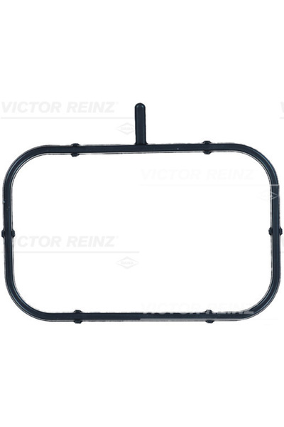 REINZ Garnitura Galerie Admisie SCANIA G 2/P 2/R 2/S