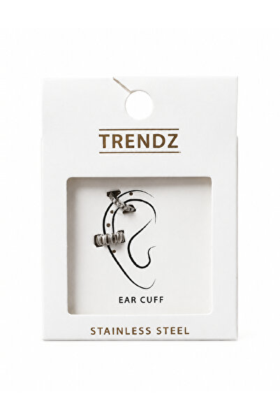 Evendi Earrings, Silver