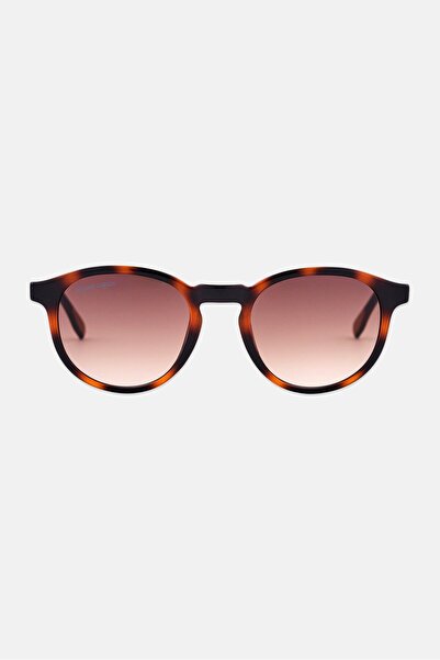 Lacoste Men L6030SRG Round Sunglasses, Havana Brown