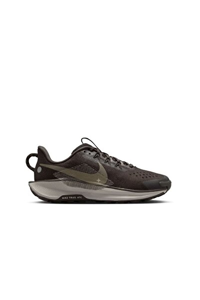 Nike Pegasus Trail 5 Koşu Ayakkabısı Spormoon