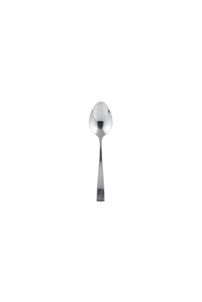 generel Disposable Plastic Spoons 24 Pieces Silver