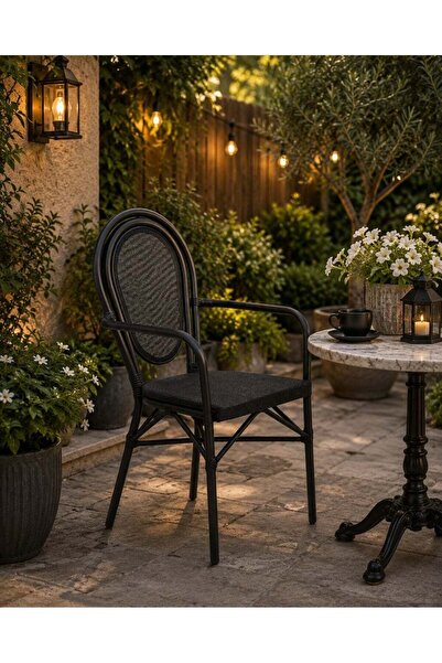 N.zone Modern Dining Chair with Sturdy Metal Frame, Comfortable Armrests, and...