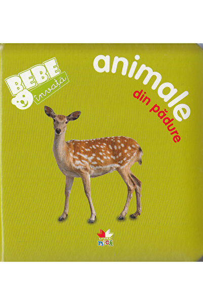 Litera Bebe invata - Animale din padure