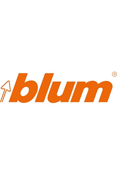 NO BRAND BLUM 661.1000 șurub EURO, cap înecat. 10mm 100 bucăți