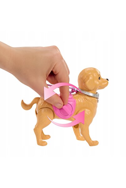 mattel LALKA BARBIE BROOKLYN SPACER CU CĂțeluș SAU PROTECTOR set pentru copii +3