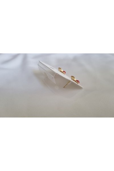 asd accessory Cherry Earrings